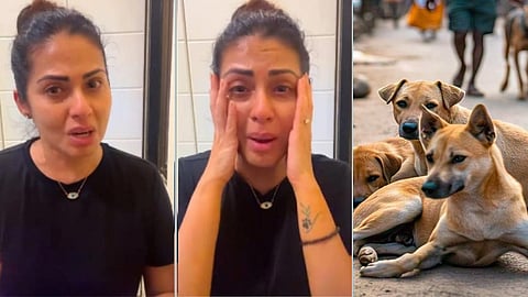 தெருநாய்களுக்காக கண்ணீர் விட்ட நடிகை சதா