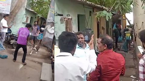 சென்னையில் பிட்புல் நாய் கடித்து ஒருவர் உயிரிழப்பு
