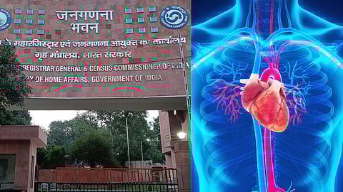 31% இதய நோய்கள், ஆய்வில் தகவல்