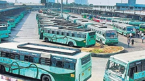 சிறப்புப் பேருந்துகள்