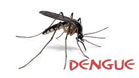 TN declares red alert in five districts as dengue cases surge