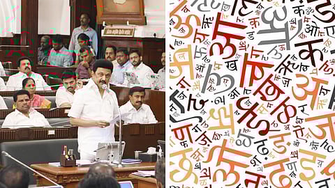 தமிழ்நாடு சட்டப்பேரவை, இந்தி மொழி