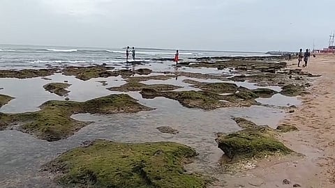 Sea recedes nearly 100 feet at Tiruchendur beach