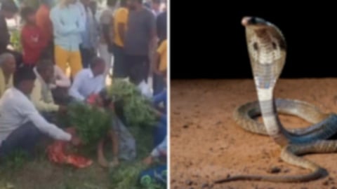 உபியில் உயிரிழந்த 10 வயது சிறுவனுக்கு மாந்திரீக பூஜை செய்த குடும்பம்