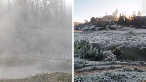 தமிழகத்தில் நீலகிரி மாவட்டத்திற்கு உறைபனி எச்சரிக்கை விடுக்கப்பட்டுள்ளது
