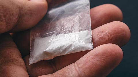 Two Indian Truck Drivers Caught In US With Cocaine