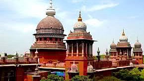 Madras High Court Seeks ECIs Response On Plea Mango Symbol