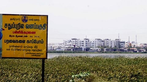 madras high court stays the construction in pallikaranai marsh land