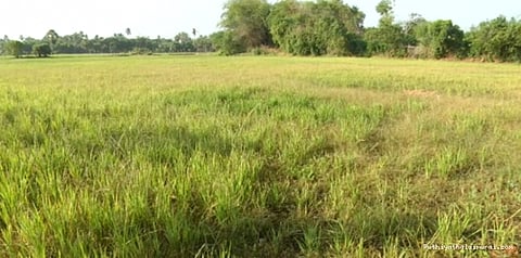 நீரின்றி பயிர்கள் கருகியதால் தொடரும் துயரம்... இன்று 4 விவசாயிகள் உயிரிழப்பு