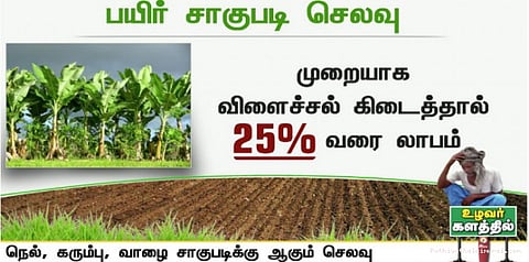 சாகுபடிக்கு ஆகும் செலவு தெரியுமா..? உணவை வீணாக்கிட மனம் வராது..!