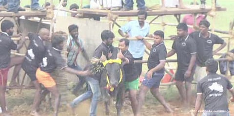 தடையை மீறி ஜல்லிக்கட்டு.. 4 பேர் கைது; காளைகள் பறிமுதல்