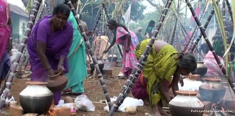 உழவர் திருநாளான பொங்கல் கோலாகலமாக கொண்டாட்டம்