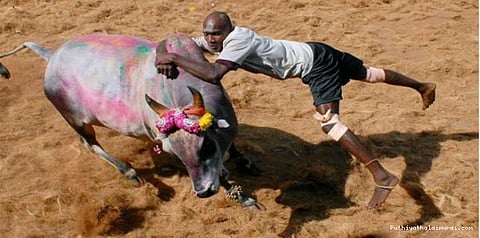 தடையை மீறி தமிழகத்தில் பல்வேறு பகுதிகளில் ஜல்லிக்கட்டு