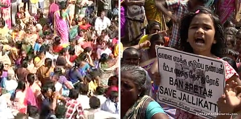 மெரினா பேரணி முதல் அலங்காநல்லூர் வரை