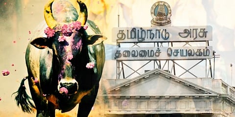 ஜல்லிக்கட்டு போராட்டம்..... என்ன செய்கிறது தமிழக அரசு?