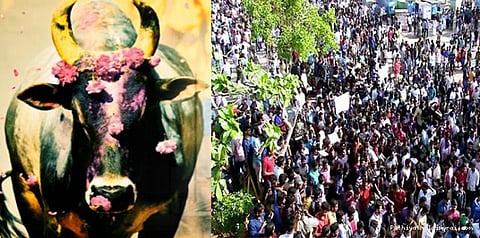 தன்னெழுச்சியாக எழுந்த தமிழக இளைஞர்கள்