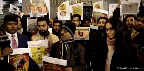 கடல் கடந்து ஜல்லிக்கட்டுக்கு ஆதரவு.... லண்டனில் தமிழர்கள் போராட்டம்