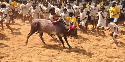ட்விட்டர் பதிவில் குவியும் கலைஞர்களின் ஆதரவு