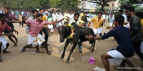 தடையை மீறி தொடரும் ஜல்லிக்கட்டு..!