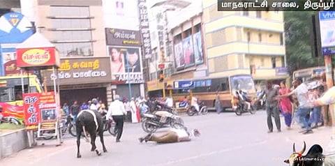 காவல் உதவி ஆய்வாளரை முட்டித்தள்ளிய காளை..!