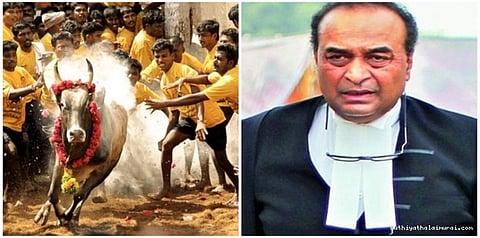 ’ஜல்லிக்கட்டுக்கு சட்டம் இயற்ற தமிழக அரசுக்கு அதிகாரம் உண்டு’: மத்திய அரசின் தலைமை வழக்கறிஞர்