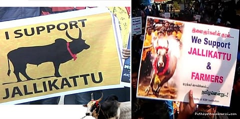 ஜல்லிக்கட்டிற்காக தைவானில் தமிழர்கள் போராட்டம்