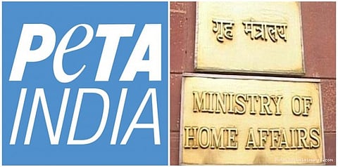 பீட்டாவின் வரவு, செலவு கணக்குகள் ஆய்வு: மத்திய அரசு ஆலோசனை