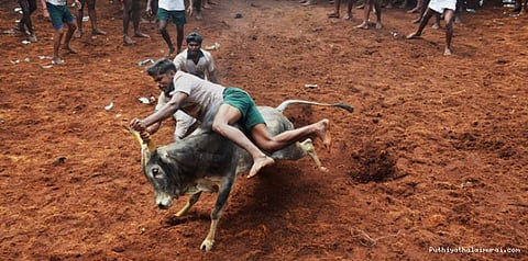 ஜல்லிக்கட்டு தொடர்பாக தமிழக அரசு கேவியட் மனு தாக்கல்