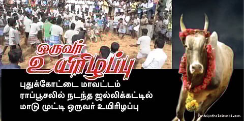 புதுக்கோட்டை ஜல்லிக்கட்டில் ஒருவர் உயிரிழப்பு