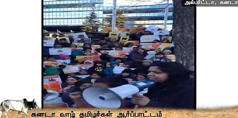 ஜல்லிக்கட்டுக்கு ஆதரவாக கனடாவில் தமிழர்கள் போராட்டம்
