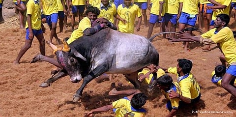 நிரந்தர சட்டம் எதிரொலி: ஜல்லிக்கட்டு அறிவிக்கையை வாபஸ் பெற்றது மத்திய அரசு