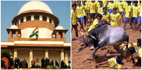 ஜல்லிக்கட்டு சட்டத்திற்கு எதிராக வழக்கு இருந்தால் வாபஸ் பெறப்படும்: விலங்குகள் நல வாரியம்