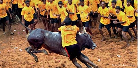 ஜல்லிக்கட்டு சட்டத்திற்கு எதிரான வழக்கு வாபஸ் பெறப்படும்... விலங்குகள் நல வாரியம்