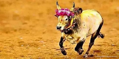 அலங்காநல்லூர் ஜல்லிக்கட்டு ஒத்திவைப்பு