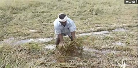 திடீர் மழையால் நீரில் மூழ்கிய சம்பா பயிர்கள்...! விவசாயிகள் வேதனை