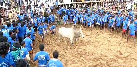 தமிழகத்தின் பல பகுதிகளில் இன்று ஜல்லிக்கட்டு