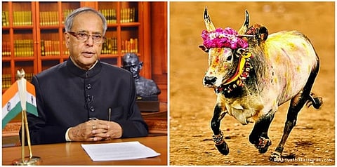 ஜல்லிக்கட்டு சட்டத்திற்கு குடியரசுத் தலைவர் ஒப்புதல்