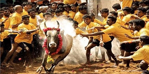 அலங்காநல்லூர், பாலமேடு ஜல்லிக்கட்டு தேதிகள் அறிவிப்பு