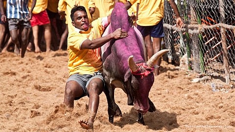 ஜல்லிக்கட்டு சட்டம் 2 நாட்களில் அரசிதழில் வெளியீடு: மத்திய அரசு