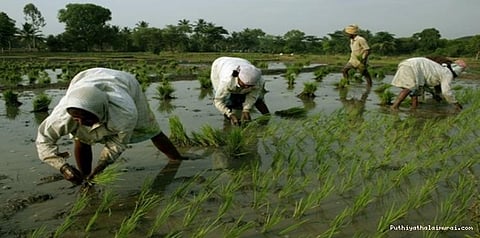 விவசாயக் கடன் ரூ.10 லட்சம் கோடி வழங்க இலக்கு