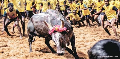 அவனியாபுரம் ஜல்லிக்கட்டிற்கு டெபாசிட் இல்லை..!