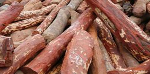 ஆந்திராவிற்கு செம்மரம் வெட்டச் சென்றதாக 15 தமிழர்கள் கைது