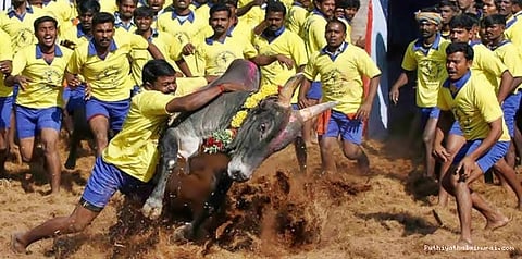 ஜல்லிக்கட்டு சட்டம் அரசிதழில் வெளியீடு