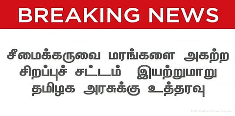 சீமைக்கருவை மரங்களை அகற்ற சட்டம்: தமிழக அரசுக்கு உயர்நீதிமன்ற கிளை உத்தரவு...