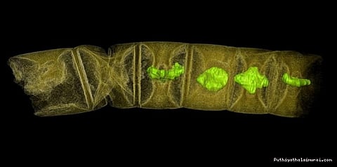 160 கோடி ஆண்டு பழமையான தாவரபடிமம் கண்டுபிடிப்பு