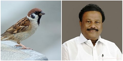 சிட்டுக்குருவியைக் காப்போம்: அமைச்சர் உறுதி