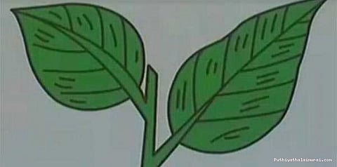 இரட்டை இலை சின்னம் யாருக்கு?: தேர்தல் ஆணையத்தில் விசாரணை