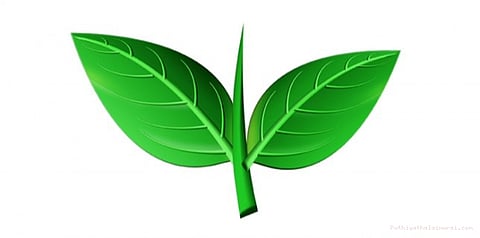 இரட்டை இலை சின்னம் முடக்கப்பட்டால் என்ன ஆகும்?