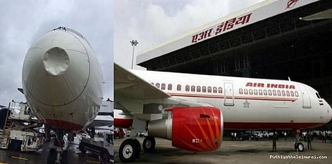 விமானத்தில் பறவை மோதி விபத்து