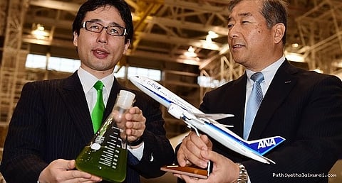 பாசி மூலம் விமான எரிபொருள்: ஜப்பான் நிறுவனம் கண்டுபிடிப்பு